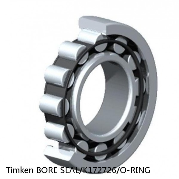 BORE SEAL/K172726/O-RING Timken Cylindrical Roller Bearing #1 small image