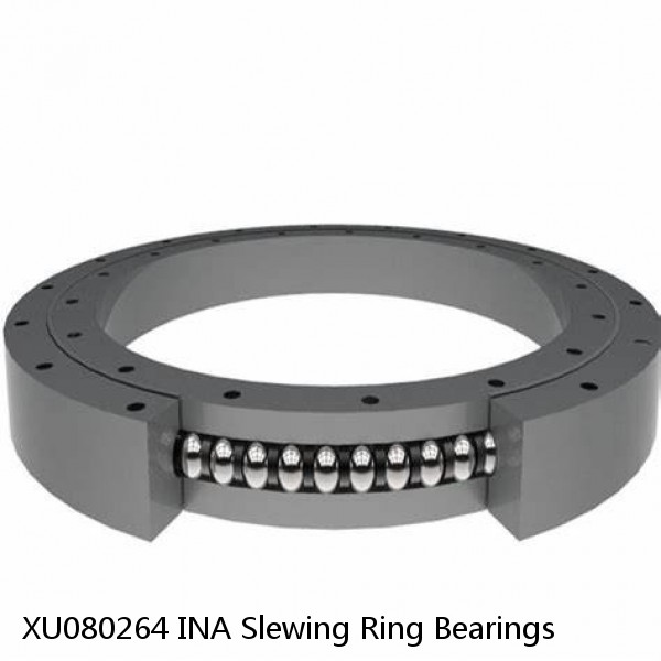 XU080264 INA Slewing Ring Bearings #1 image