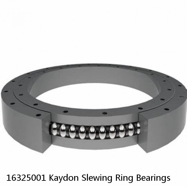 16325001 Kaydon Slewing Ring Bearings #1 image