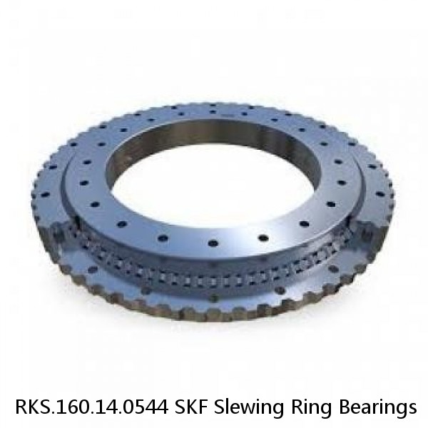 RKS.160.14.0544 SKF Slewing Ring Bearings #1 image