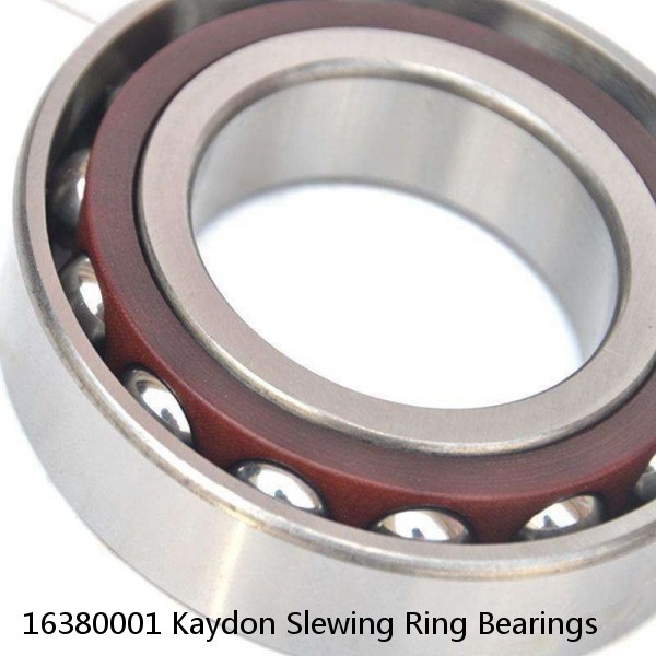 16380001 Kaydon Slewing Ring Bearings #1 image