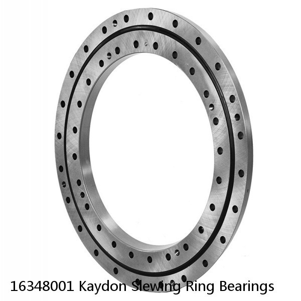 16348001 Kaydon Slewing Ring Bearings #1 image