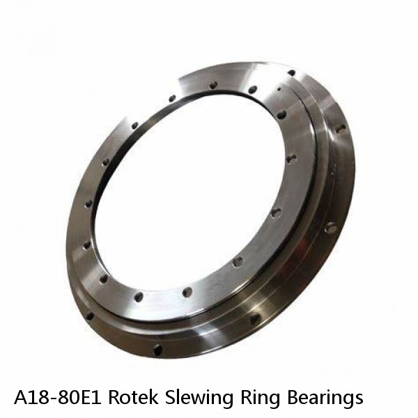 A18-80E1 Rotek Slewing Ring Bearings #1 image