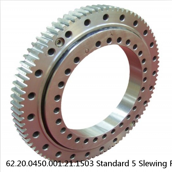 62.20.0450.001.21.1503 Standard 5 Slewing Ring Bearings #1 image